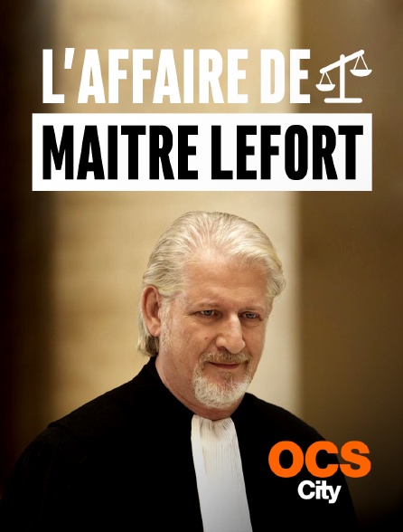 L'affaire de Maître Lefort (2016)
