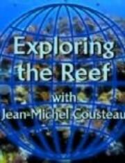 Изучение рифов (2003)
